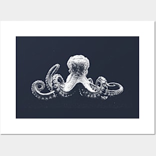 octopus Posters and Art